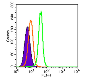 AX2R Rabbit Polyclonal Antibody (FITC)