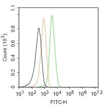 C5b-9 Rabbit Polyclonal Antibody (FITC)