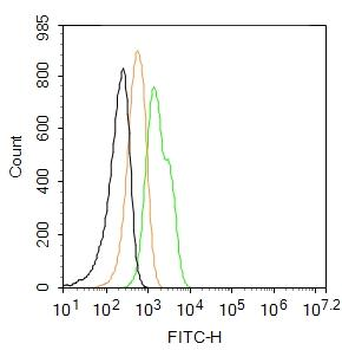 IGF I Rabbit Polyclonal Antibody (FITC)
