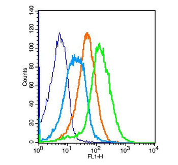 CD28 Rabbit Polyclonal Antibody