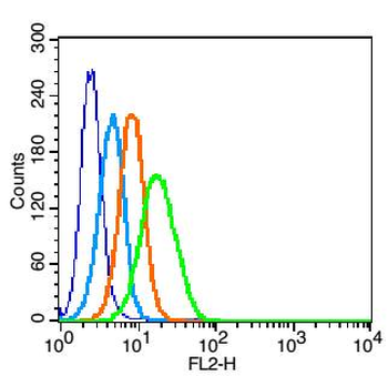 CXCR4 Rabbit Polyclonal Antibody