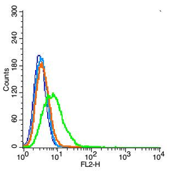 CD24 Rabbit Polyclonal Antibody