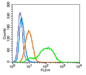 CD46 Rabbit Polyclonal Antibody