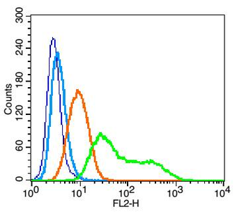 CD45RO Rabbit Polyclonal Antibody