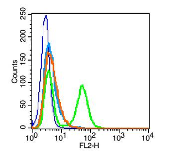 ICAM1 Rabbit Polyclonal Antibody