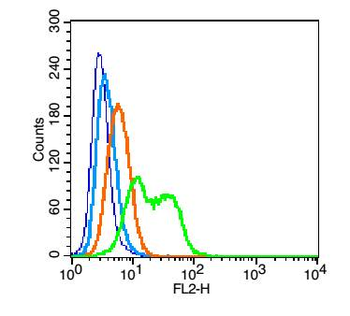 CD55 Rabbit Polyclonal Antibody