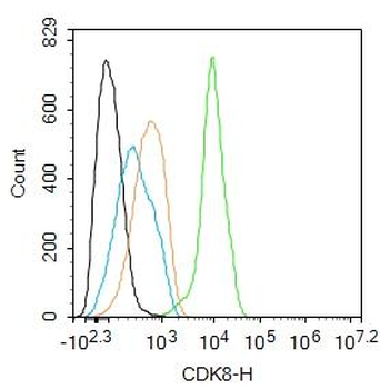 CDK8 Rabbit Polyclonal Antibody