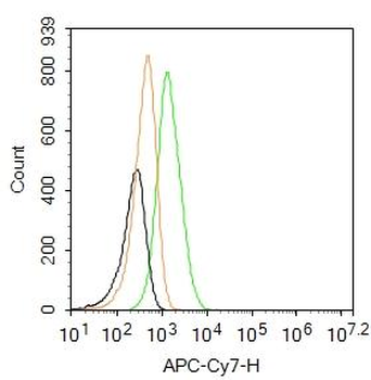 CD44 Rabbit Polyclonal Antibody (Cy7)