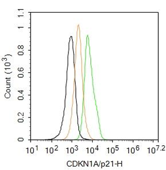 CDKN1A/p21 Rabbit Polyclonal Antibody (Cy7)