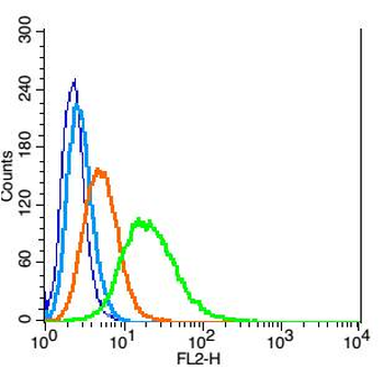 Desmin Rabbit Polyclonal Antibody