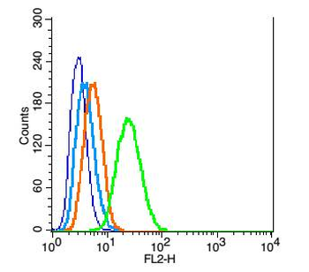 E2F5 Rabbit Polyclonal Antibody