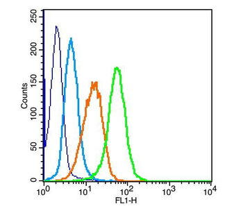 Estrogen receptor beta Rabbit Polyclonal Antibody