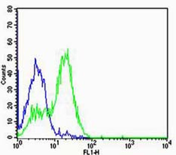 Glucocorticoid receptor Rabbit Polyclonal Antibody
