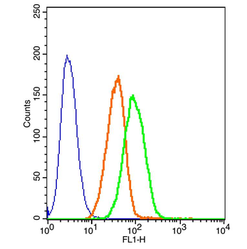 Phospho-GSK-3 Beta (Ser9) Rabbit Polyclonal Antibody