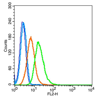IL1RAPL1 Rabbit Polyclonal Antibody