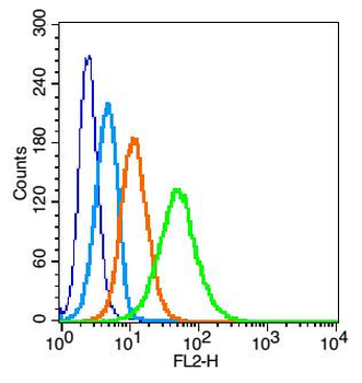 IL7R Rabbit Polyclonal Antibody