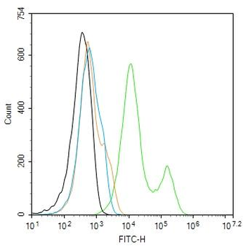 Integrin Alpha 3 + Beta 1 Rabbit Polyclonal Antibody