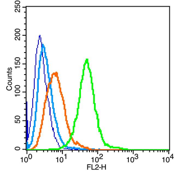 ENPP3 Rabbit Polyclonal Antibody