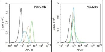 Integrin alpha 4 Rabbit Polyclonal Antibody