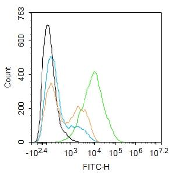 Integrin alpha 4 Rabbit Polyclonal Antibody