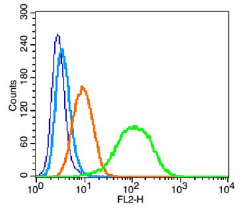 Integrin alpha 4 Rabbit Polyclonal Antibody