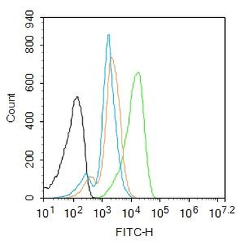 JNK1 + JNK3 Rabbit Polyclonal Antibody