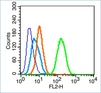MAP1LC3A Rabbit Polyclonal Antibody