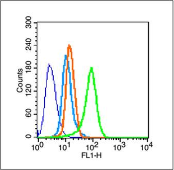 MDR1/P Glycoprotein Rabbit Polyclonal Antibody