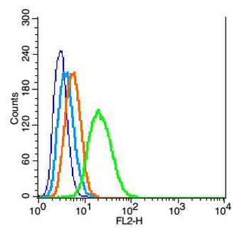 Mitofusin 1 Rabbit Polyclonal Antibody