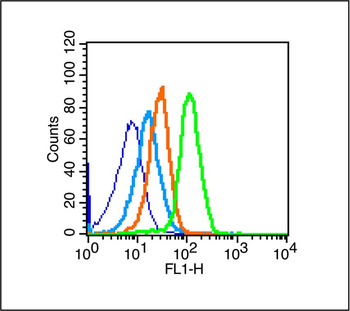 NGFR/p75NTR Rabbit Polyclonal Antibody