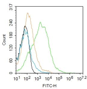 NGFR/p75NTR Rabbit Polyclonal Antibody