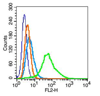 Geminin Rabbit Polyclonal Antibody