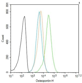 Osteopontin Rabbit Polyclonal Antibody