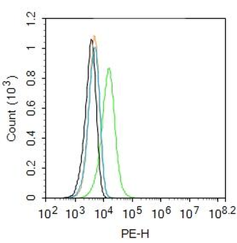 VIPR2 Rabbit Polyclonal Antibody