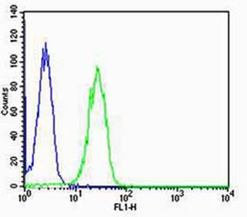 PAX8 Rabbit Polyclonal Antibody