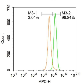 PPAR delta + beta Rabbit Polyclonal Antibody