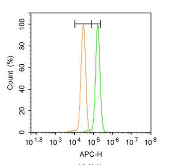 Profilin 1 Rabbit Polyclonal Antibody