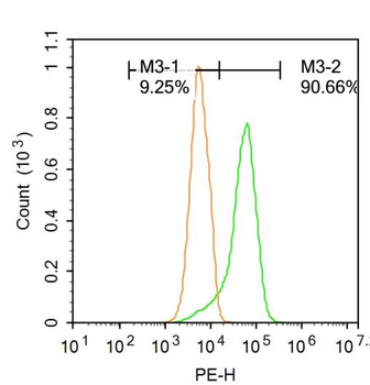 Presenilin 1 Rabbit Polyclonal Antibody