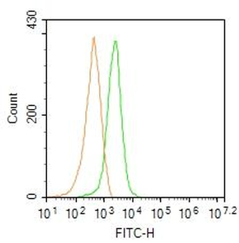FUT4 Rabbit Polyclonal Antibody