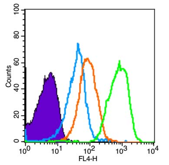 TRIM32 Rabbit Polyclonal Antibody