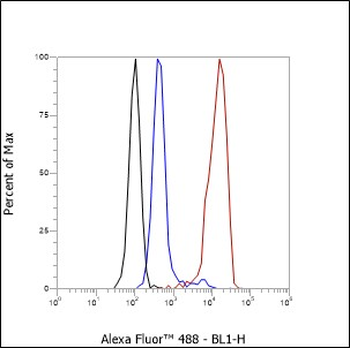 CD19 Recombinant Rabbit Monoclonal Antibody
