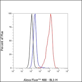 CD19 Recombinant Rabbit Monoclonal Antibody