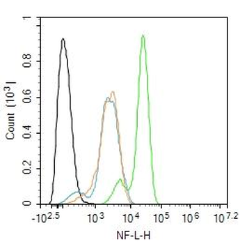 NF-L Rabbit Polyclonal Antibody