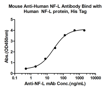 NF-L Mouse Monoclonal Antibody