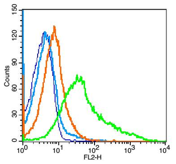 CD48 Rabbit Polyclonal Antibody