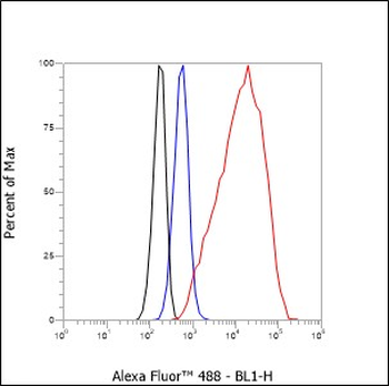TSHB Recombinant Rabbit Monoclonal Antibody