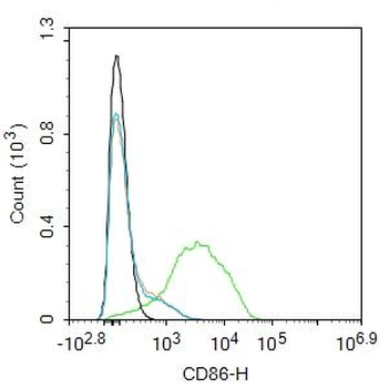 Human CD86 Mouse Monoclonal Antibody
