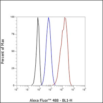 P130 Cas Recombinant Rabbit Monoclonal Antibody