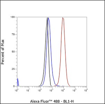 CD1d Recombinant Mouse Monoclonal Antibody