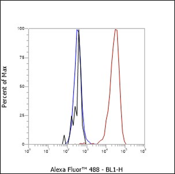 CD62L Recombinant Rabbit Monoclonal Antibody